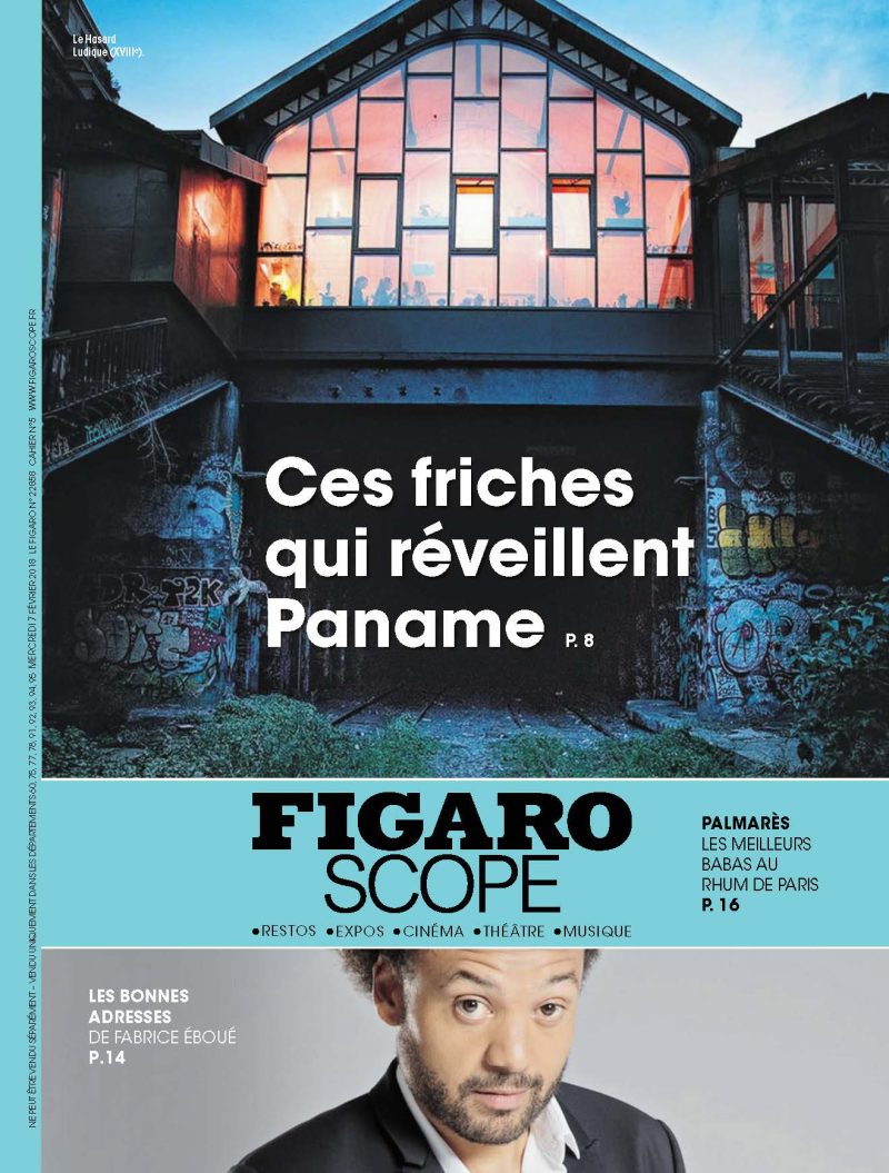 "Mr. Chat se prend pour la colombe de la paix"